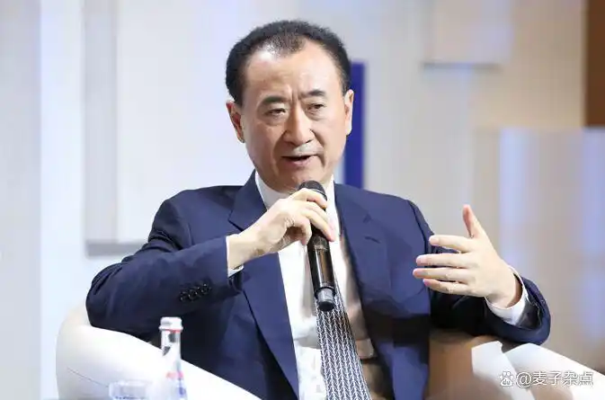 王健林目前经济情况_王健林对中国经济的贡献_王健林与新经济形势的应对