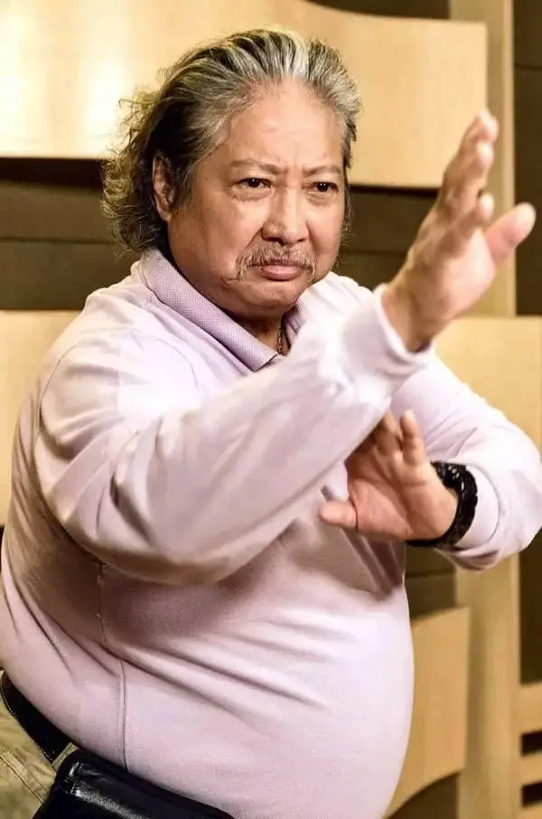 洪金宝提携过哪些人_洪金宝对新人演员的扶持与培养_洪金宝签约公司