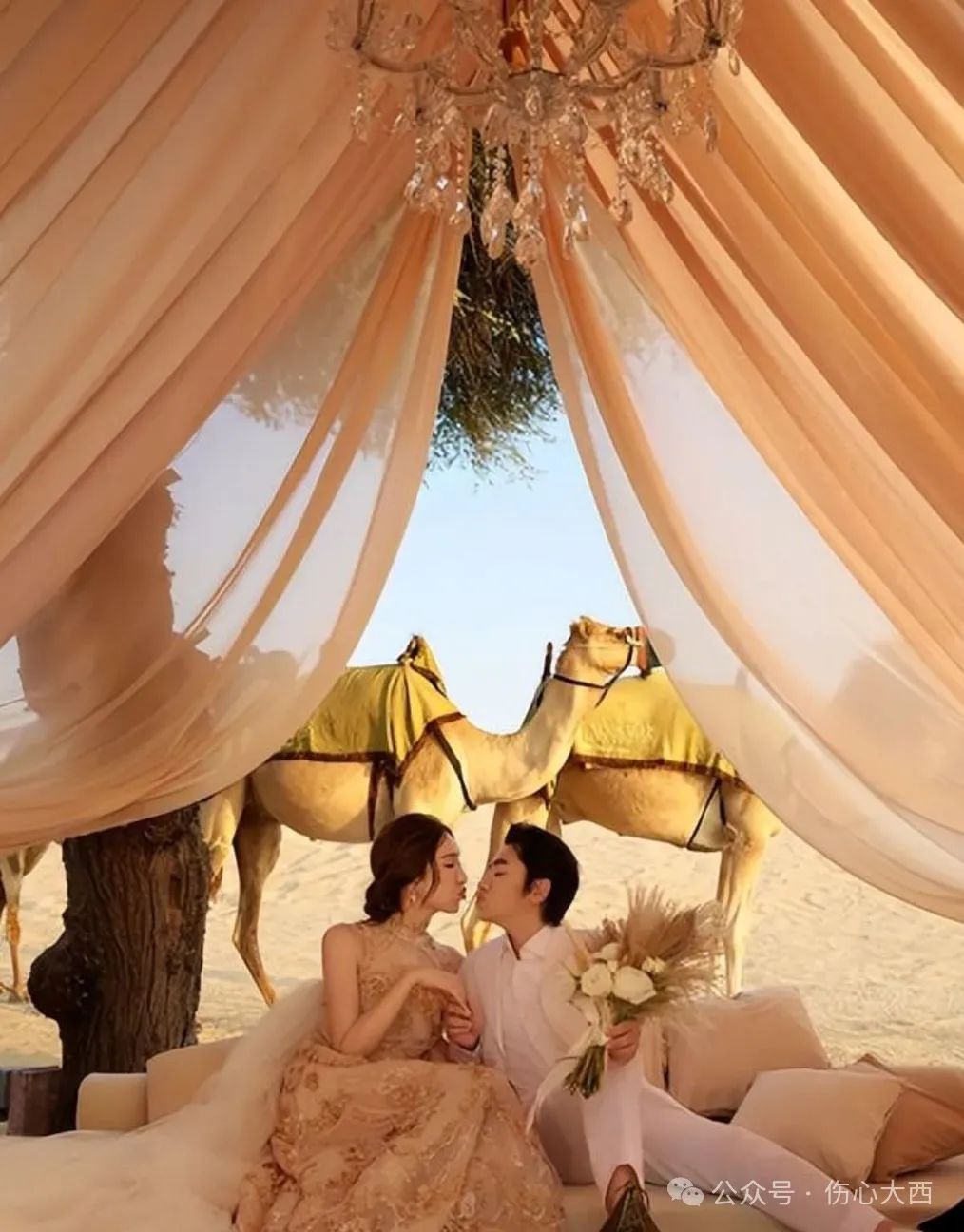 张晋的幽默感与生活态度_生活美学是一种态度_有关感冒的幽默段子