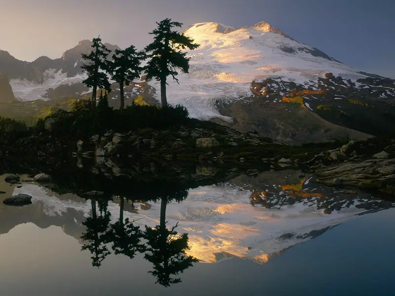 如何利用数据分析提升虚拟货币交易的成功率：实用工具与技巧_货币虚拟化是什么意思_虚拟货币