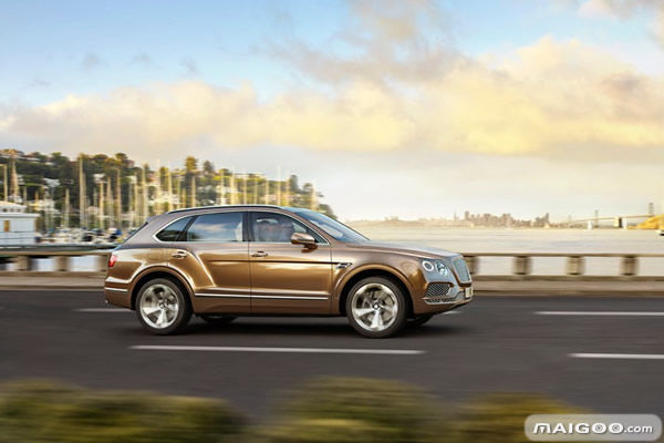 豪华版宾利_宾利与运动性能：豪华中的速度狂欢_宾利豪华车型