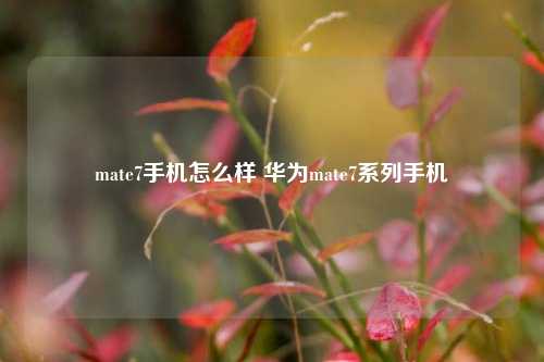 mate7手机怎么样 华为mate7系列手机