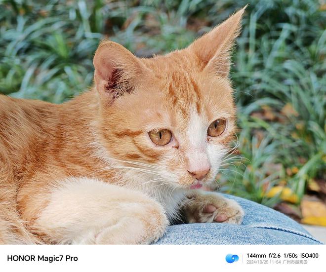 华为亮点_华为亮点功能介绍页面_荣耀的Magic UI：用户体验与功能亮点