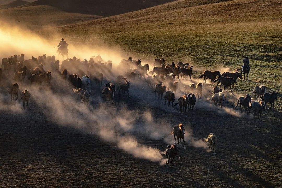 嬴政和他的帝国会失败_嬴政的帝国梦与历史局_帝王嬴政