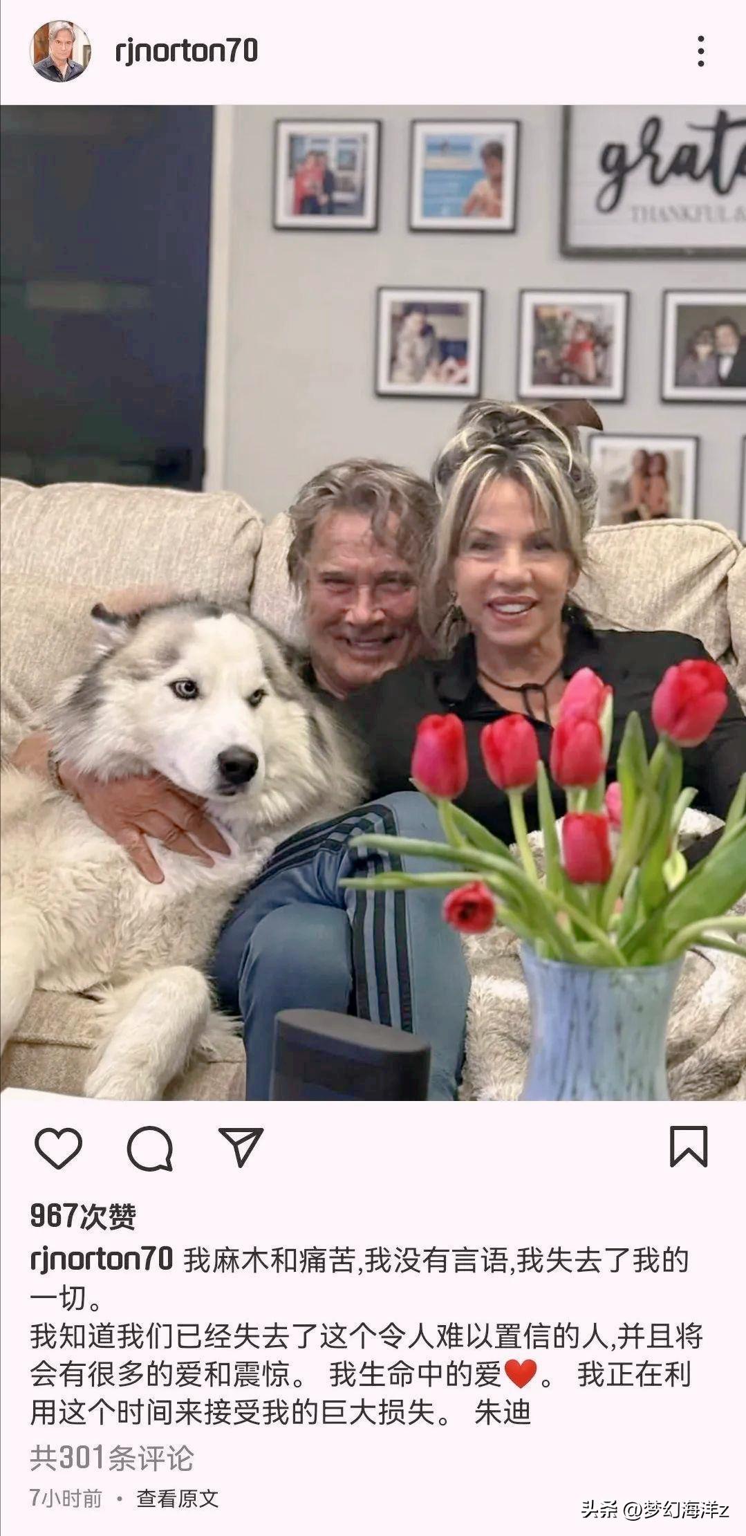 洪金宝搞笑鬼片有哪些_洪金宝的幽默感与电影魅力_洪金宝搞笑电影大全版