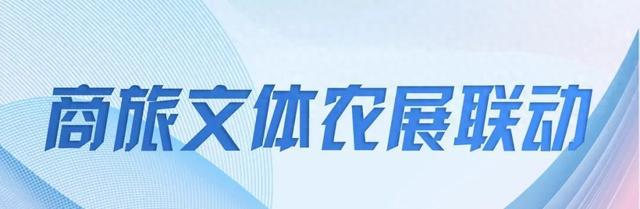无人讲解_坛胡博轩讲述张辛昕的故事_如何通过无人机表演讲述故事?
