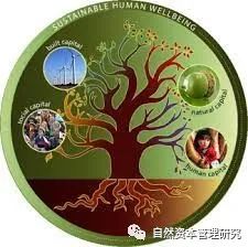 数字货币生态系统_数字货币价值衡量_评估数字货币的可持续性与生态影响