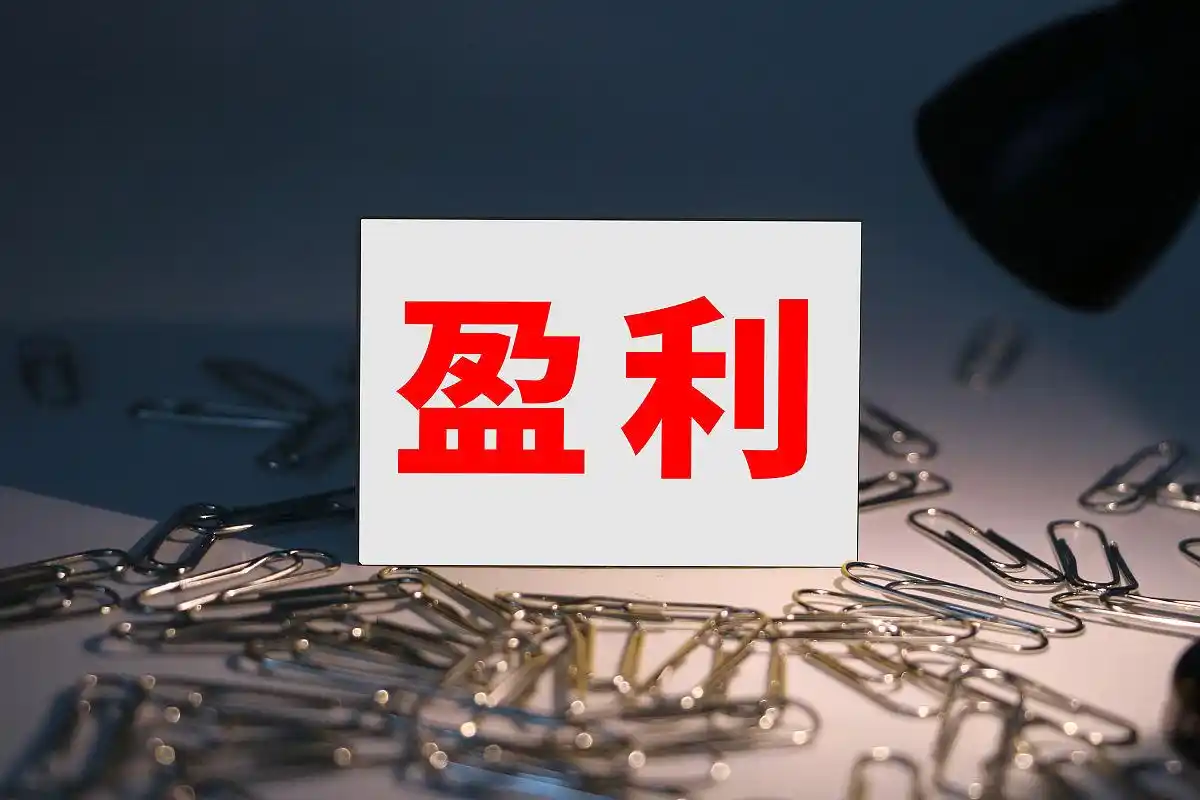 盈利能力因素分析_盈利能力受哪些因素影响_盈利能力仍是主要因素