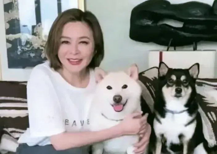 关之琳活动_关之琳与社会活动的参与_关之琳参加活动