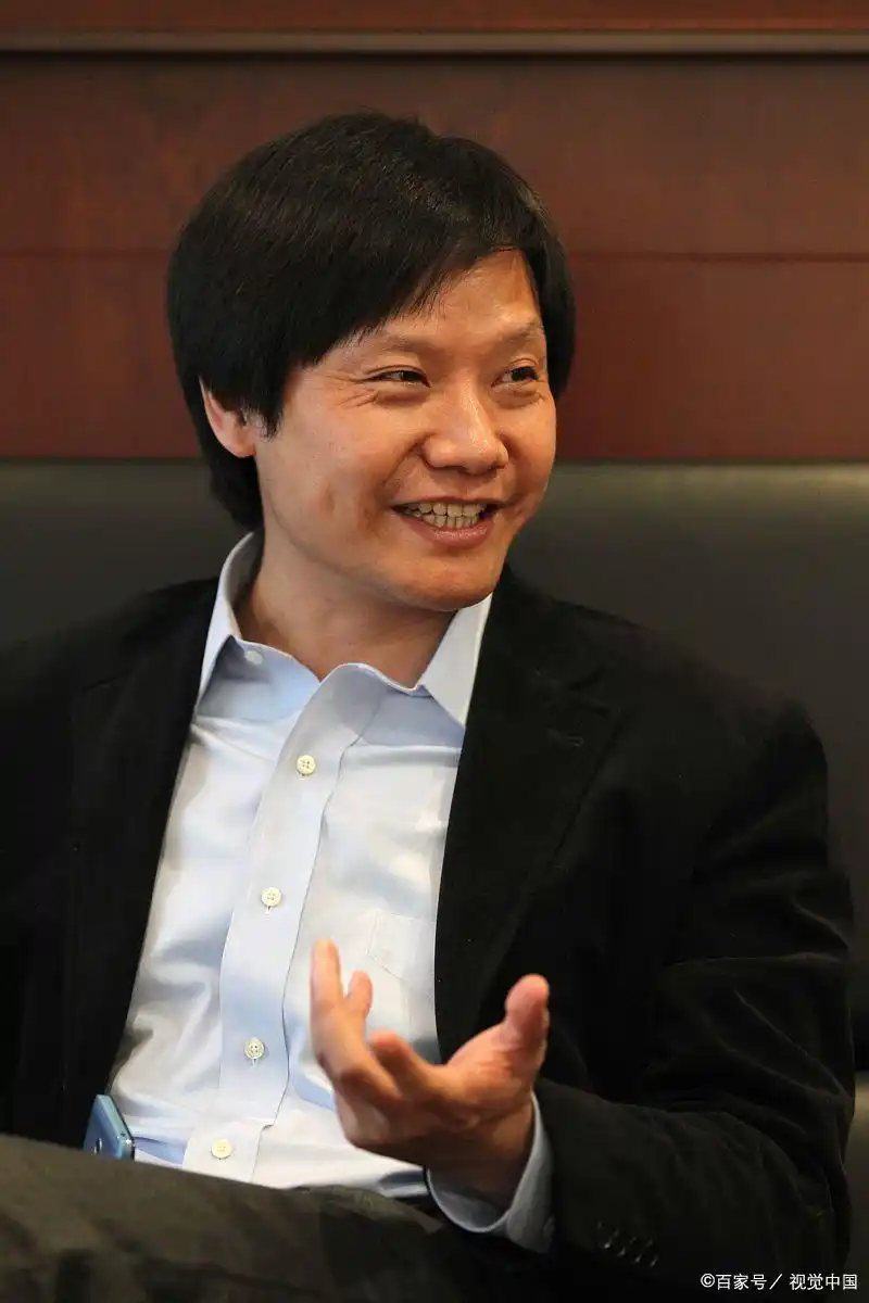 雷军的职业经历_雷军的个人经历与职业发展_雷军的事业发展