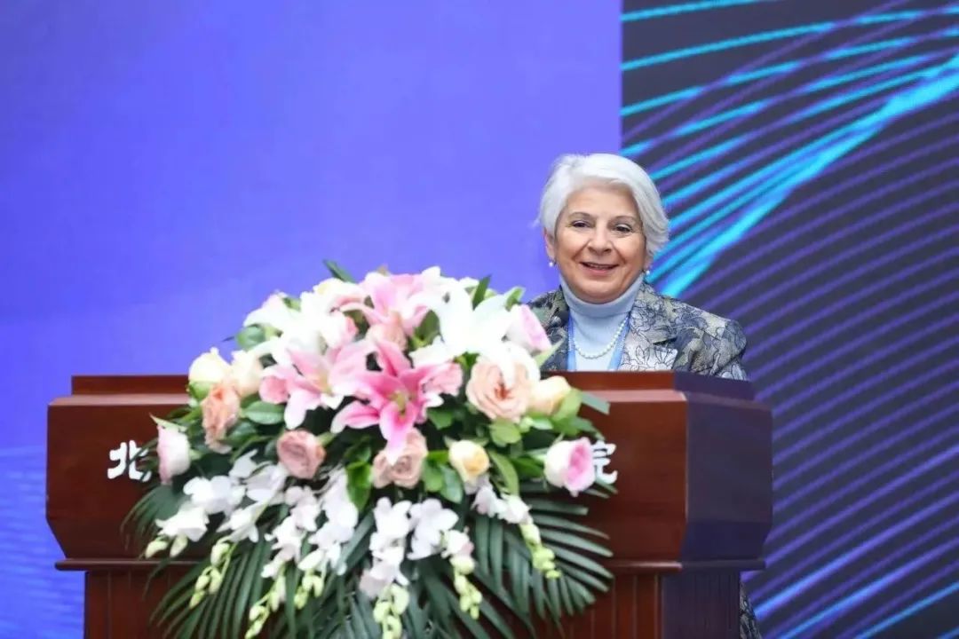 绿色资产定义_研究数字资产在气候变化中的创新解决方案：推动绿色项目的实践_绿色资产证券化现状