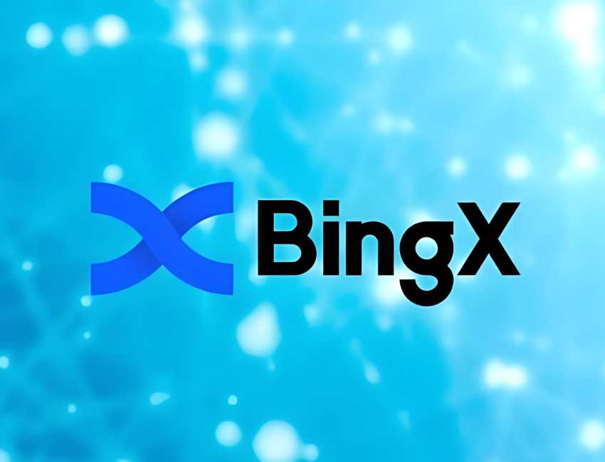 BingX交易所平台展示图