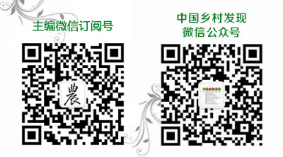 虚拟货币在慈善事业中的应用：如何利用区块链技术提升透明度与信任_关于慈善区块链应用_慈善币属于区块链吗