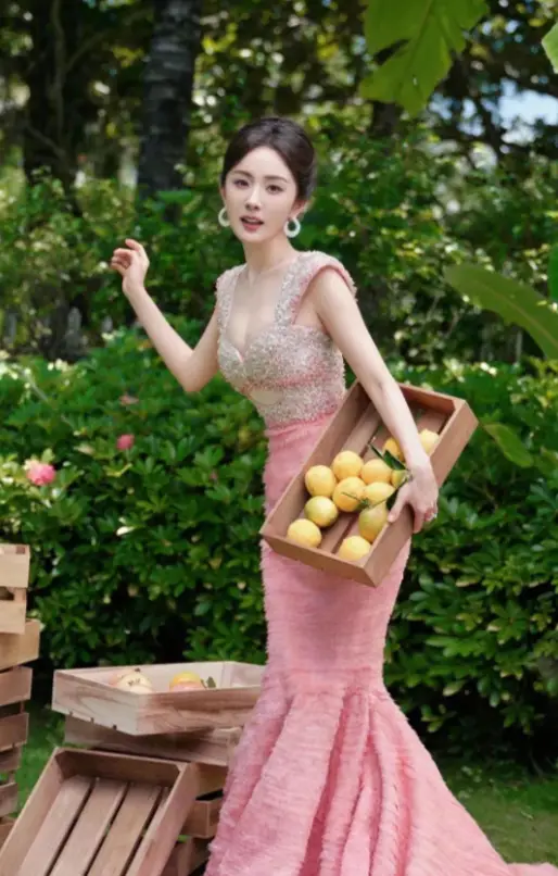 杨幂励志故事1000字左右_杨幂励志语录关于努力_杨幂的励志故事与奋斗精神